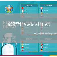 哈姆雷特VS布倫特伍德