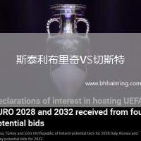 斯泰利布里奇VS切斯特