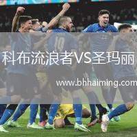 科布流浪者VS圣瑪麗