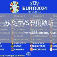 蘇埃拉VS羅貝勒斯