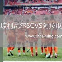 玻利瓦爾SCVS阿拉瓜