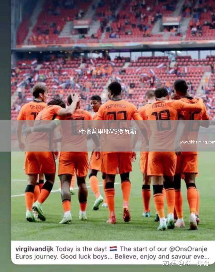 杜格普里耶VS賀瓦斯