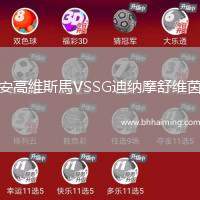 安高維斯馬VSSG迪納摩舒維茵