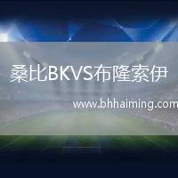 桑比BKVS布隆索伊