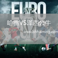 哈雷VS澤西公牛