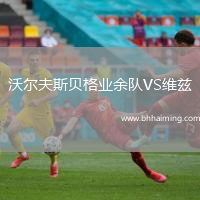 沃爾夫斯貝格業(yè)余隊VS維茲