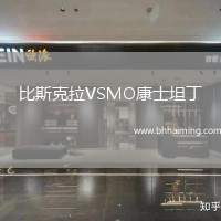 比斯克拉VSMO康士坦丁