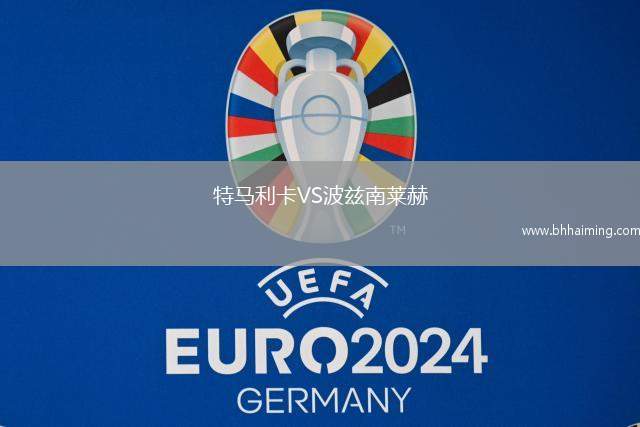 特馬利卡VS波茲南萊赫