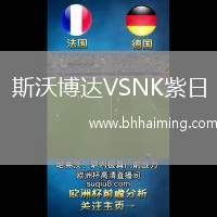 斯沃博達(dá)VSNK紫日