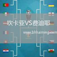 坎卡亞VS費(fèi)迪耶