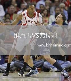 維京古VS弗拉姆