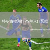 特爾古穆列什VS蒂米什瓦拉