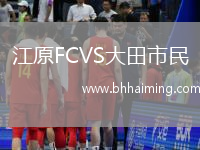 江原FCVS大田市民