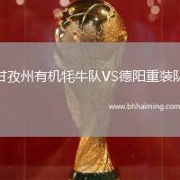 甘孜州有機牦牛隊VS德陽重裝隊