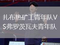 扎布熱礦工青年隊VS弗羅茨瓦夫青年隊