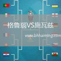 格魯瑙VS施瓦茲