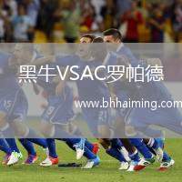 黑牛VSAC羅帕德