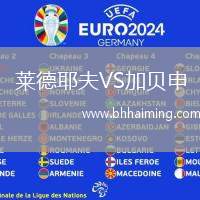 萊德耶夫VS加貝申