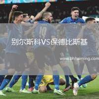 別爾斯科VS保德比斯基