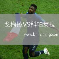 戈梅拉VS科帕萊拉