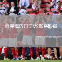 維克梅濟日奇VS斯霍滕堡