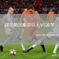拜爾勒沃庫(kù)森巨人VS波琴