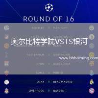 奧爾比特學(xué)院VSTS銀河