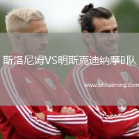 斯洛尼姆VS明斯克迪納摩B隊