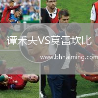 譚禾夫VS莫雷坎比