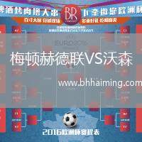 梅頓赫德聯(lián)VS沃森