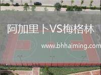 阿加里卜VS梅格林