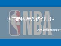 切爾滕納姆VS訥翰馬科