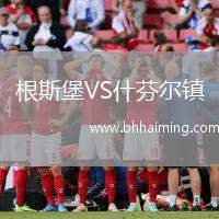 根斯堡VS什芬爾鎮(zhèn)