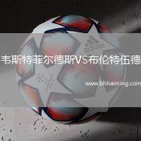 韋斯特菲爾德斯VS布倫特伍德