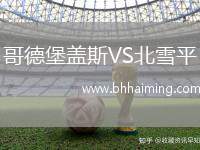 哥德堡蓋斯VS北雪平