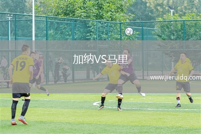 ?；退箞D茲VSSD家族