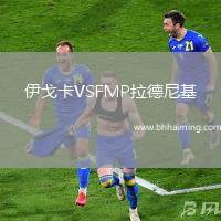 伊戈卡VSFMP拉德尼基