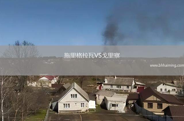 拖里格拉瓦VS戈里察