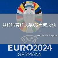 茲拉特莫拉夫采VS魯玻夫納