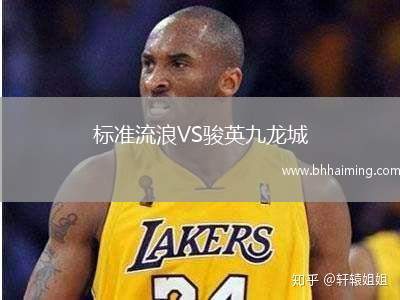 標(biāo)準(zhǔn)流浪VS駿英九龍城