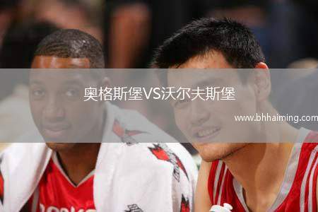 奧格斯堡VS沃爾夫斯堡