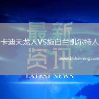 卡迪夫龍人VS施白蘭凱爾特人