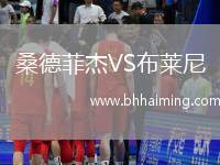 桑德菲杰VS布萊尼