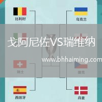 戈阿尼佐VS瑞維納