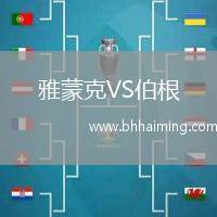 雅蒙克VS伯根