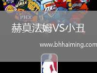 赫莫法姆VS小丑