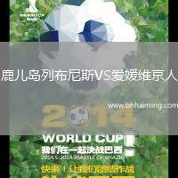 鹿兒島列布尼斯VS愛(ài)媛維京人