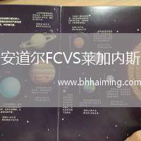 安道爾FCVS萊加內(nèi)斯