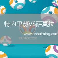 特內(nèi)里費VS薩莫拉