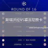 斯塔沃拉VS霍吉尼贊卡